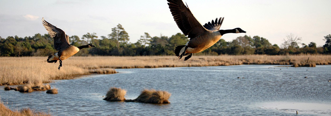 Environmental Programs Banner