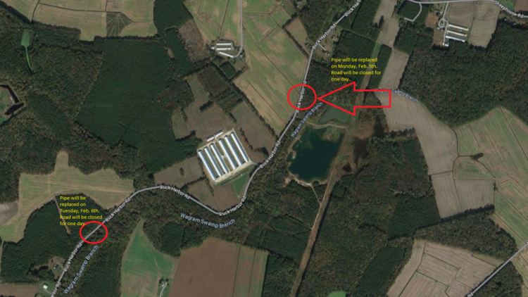 Buck Harbor Road closure February 5th and 6th