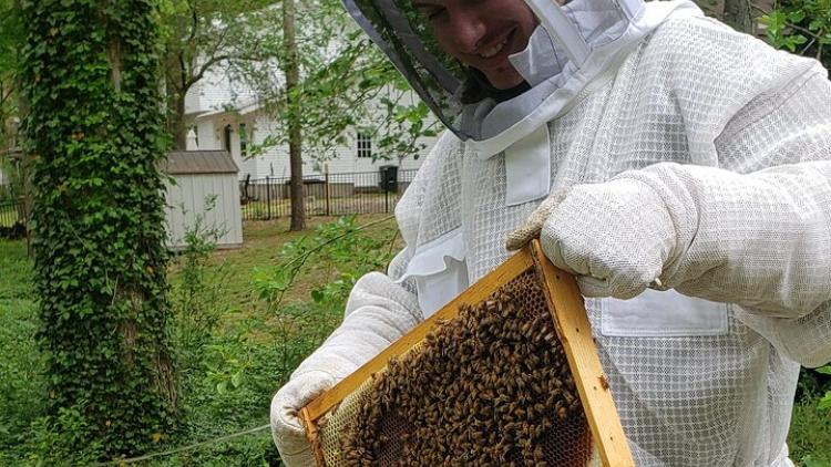 Beekeeper