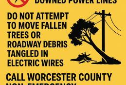 Stay safe around downed power lines