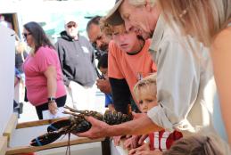 Harbor Day at The Docks Festival October 11